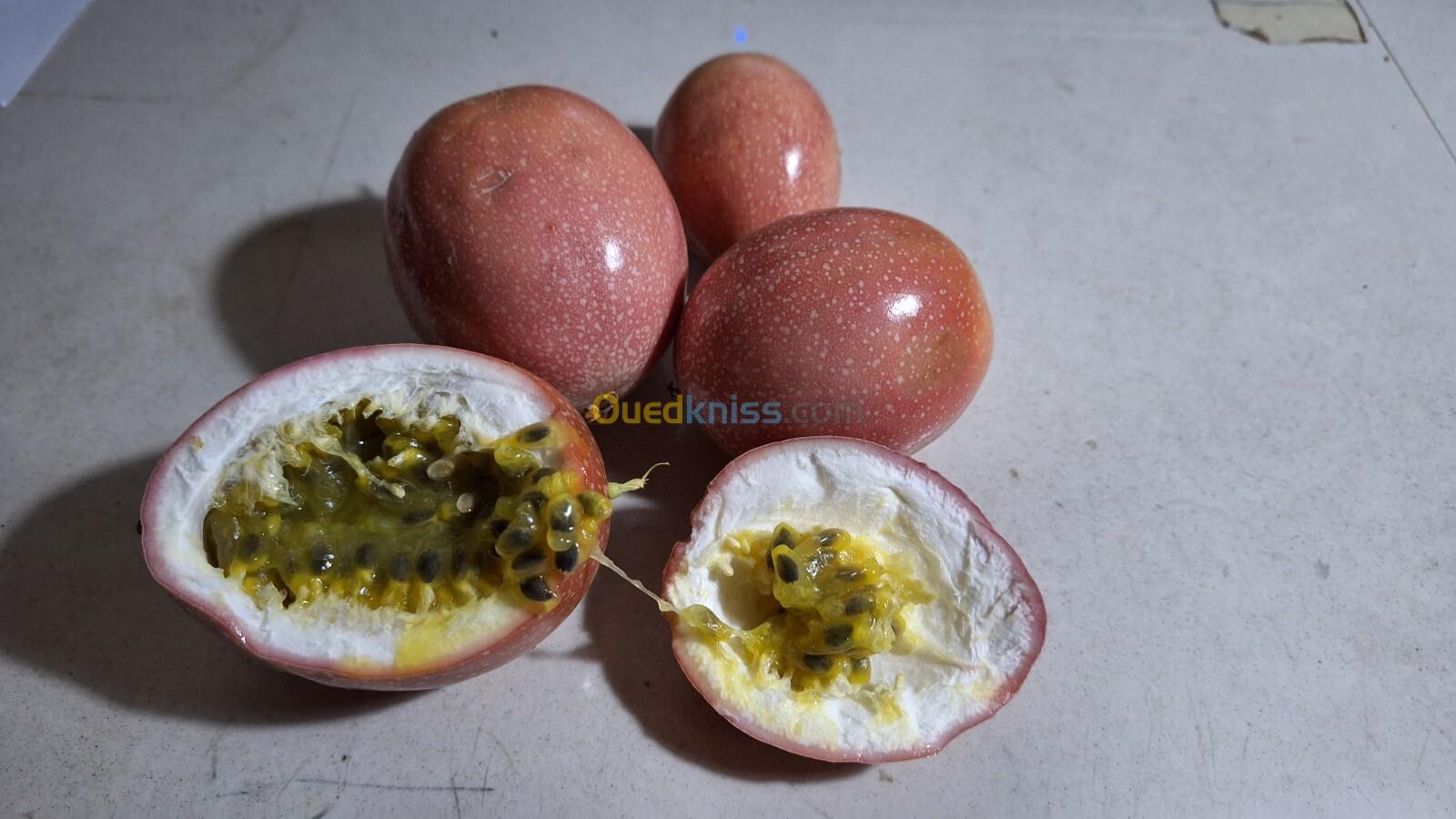 Fruits de passion (passilflore)