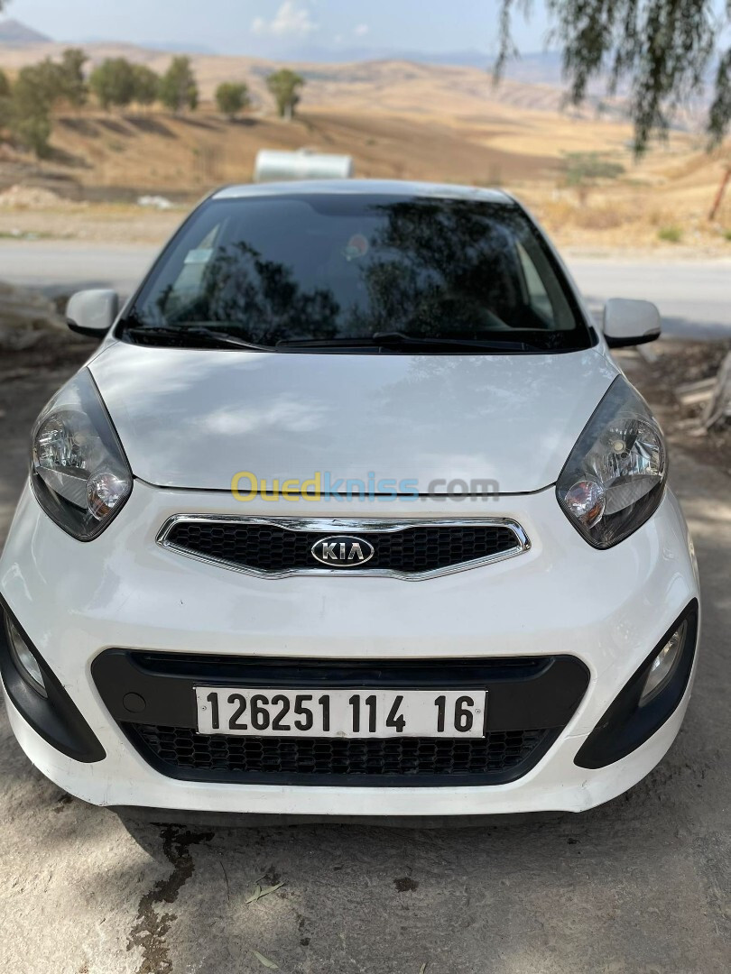 Kia Picanto 2014 Po