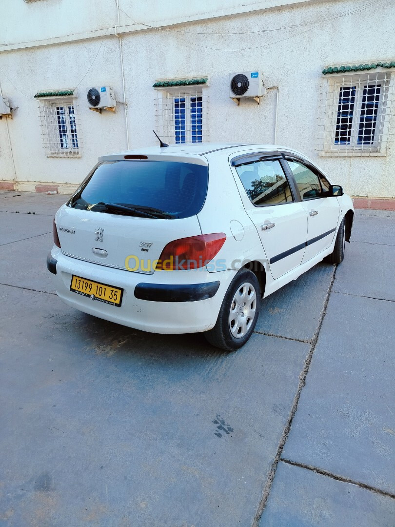 Peugeot 307 2001 307