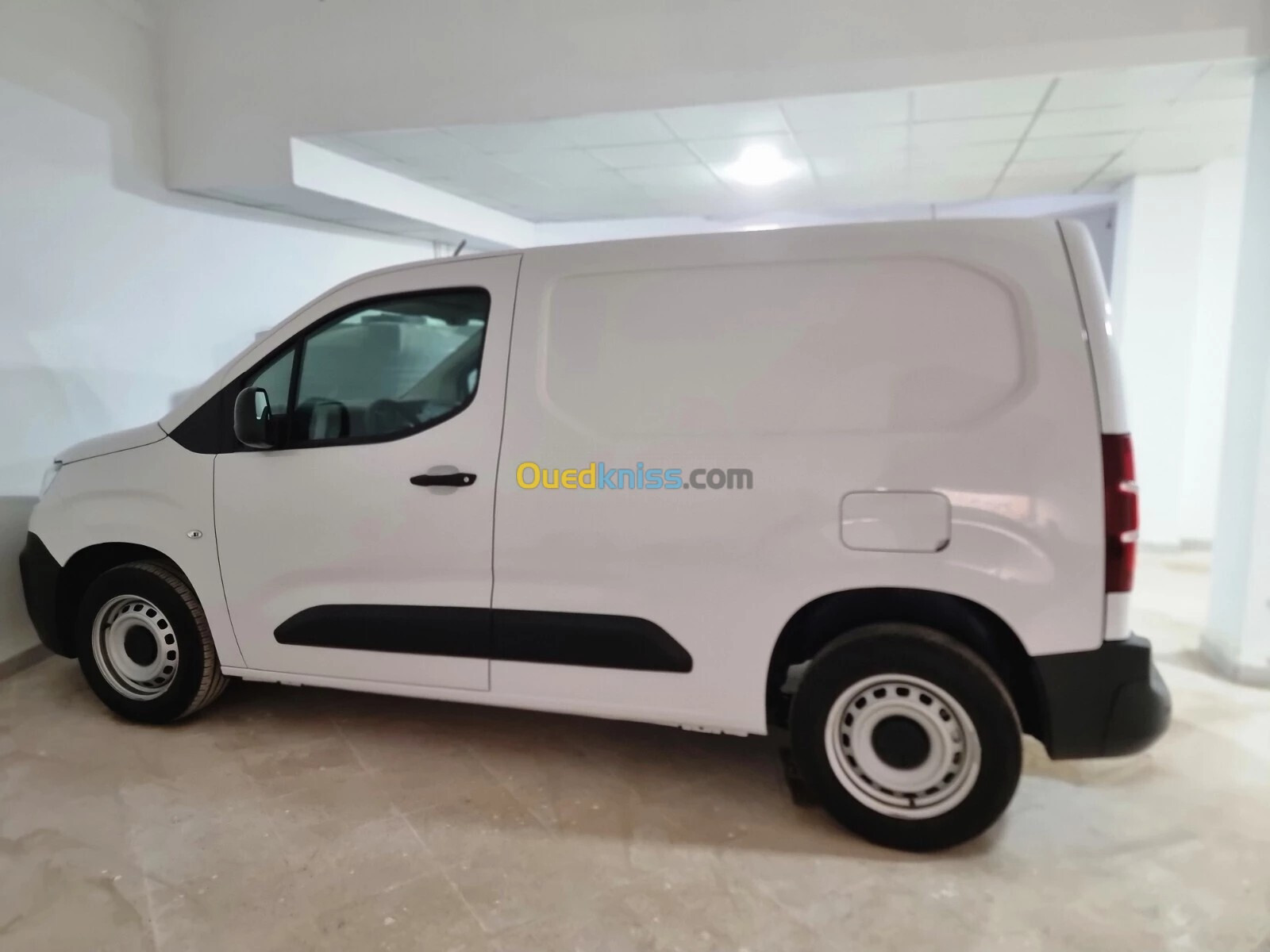 Fiat Doblo 🇩🇿 2024 Dz