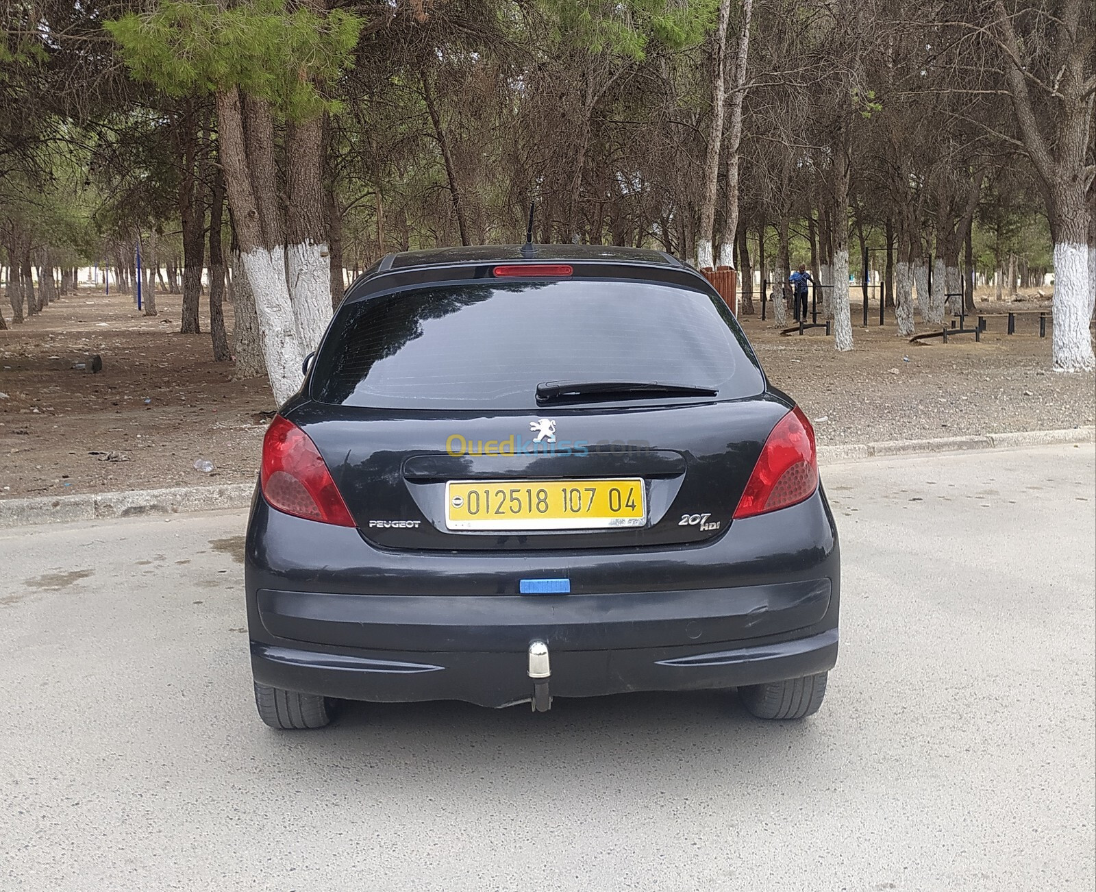 Peugeot 207 2007 