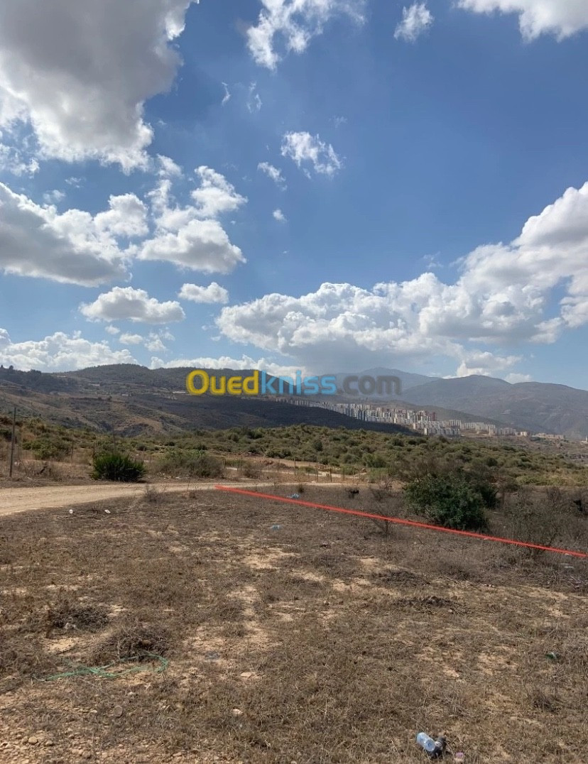 Vente Terrain Blida Bouinan