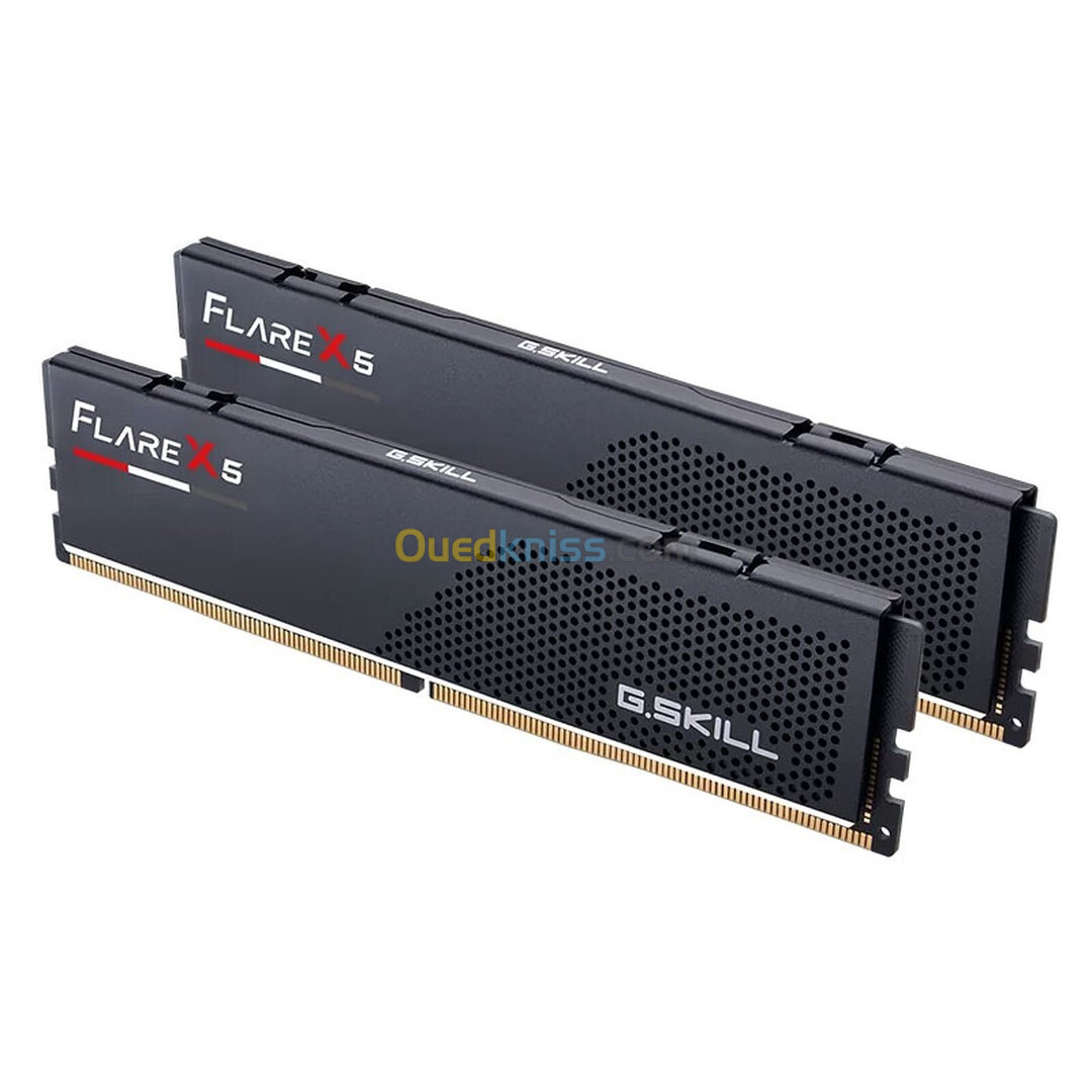 GSkill Flare X5 Series Low Profile 96 GB (2 x 48 GB) DDR5 5200 MHz CL40