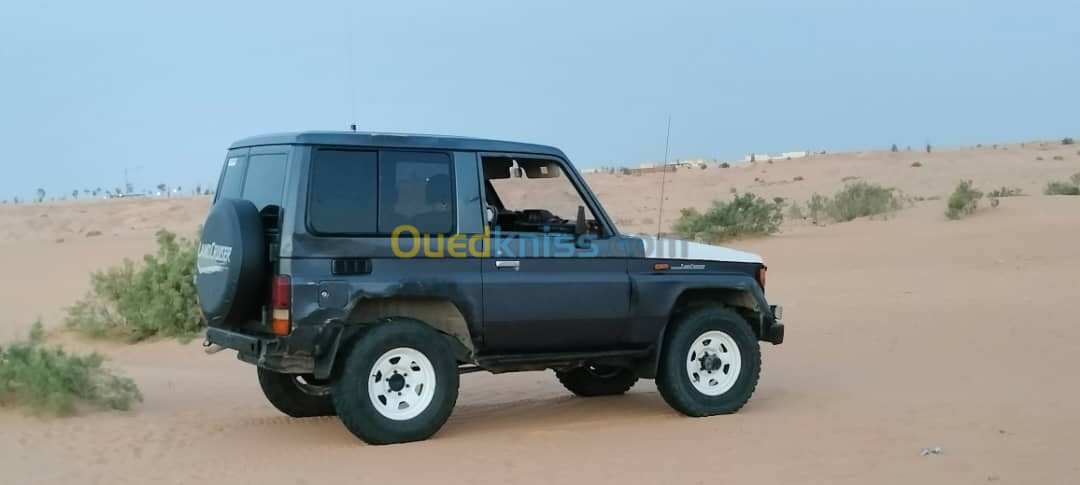 Toyota Land Cruiser 1990 Court