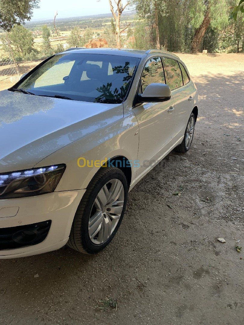 Audi Q5 2009 