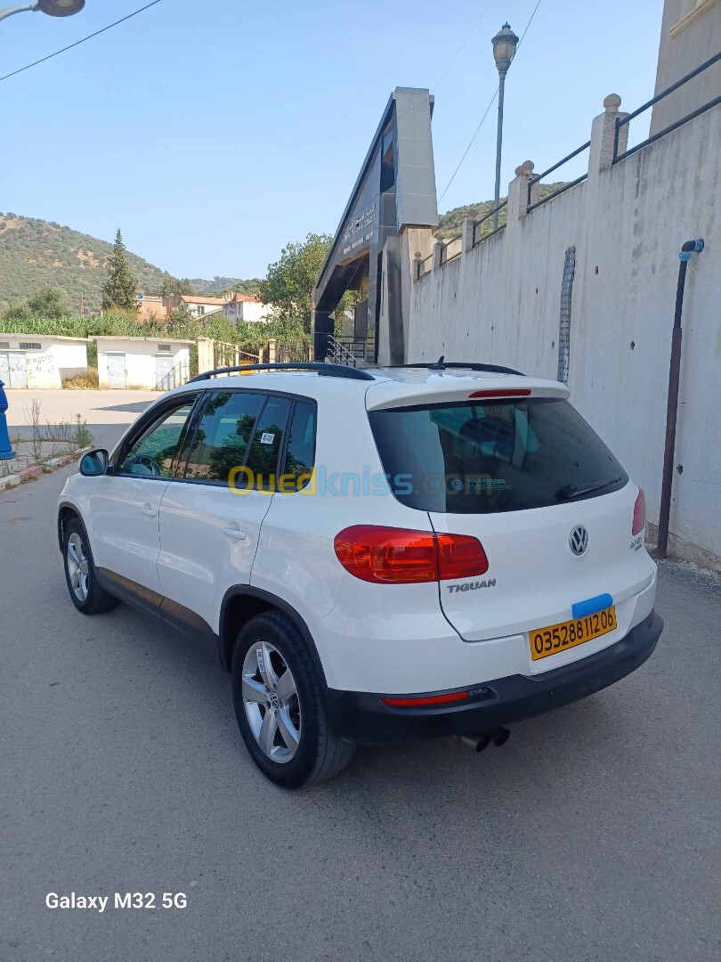 Volkswagen Tiguan 2012 Style