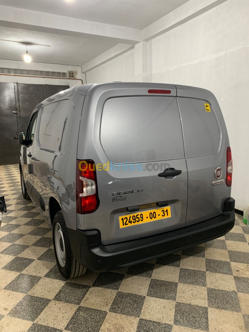 Fiat Doblo 2024 Professional