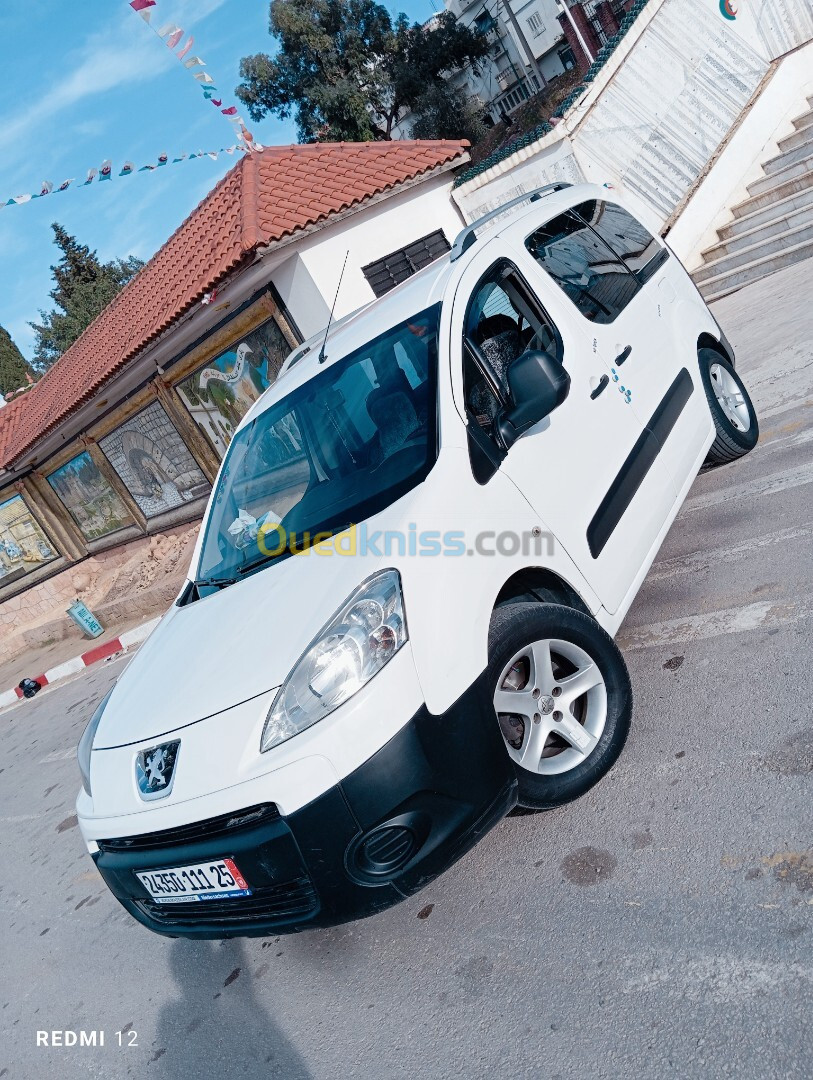 Peugeot Partner 2011 Tepee