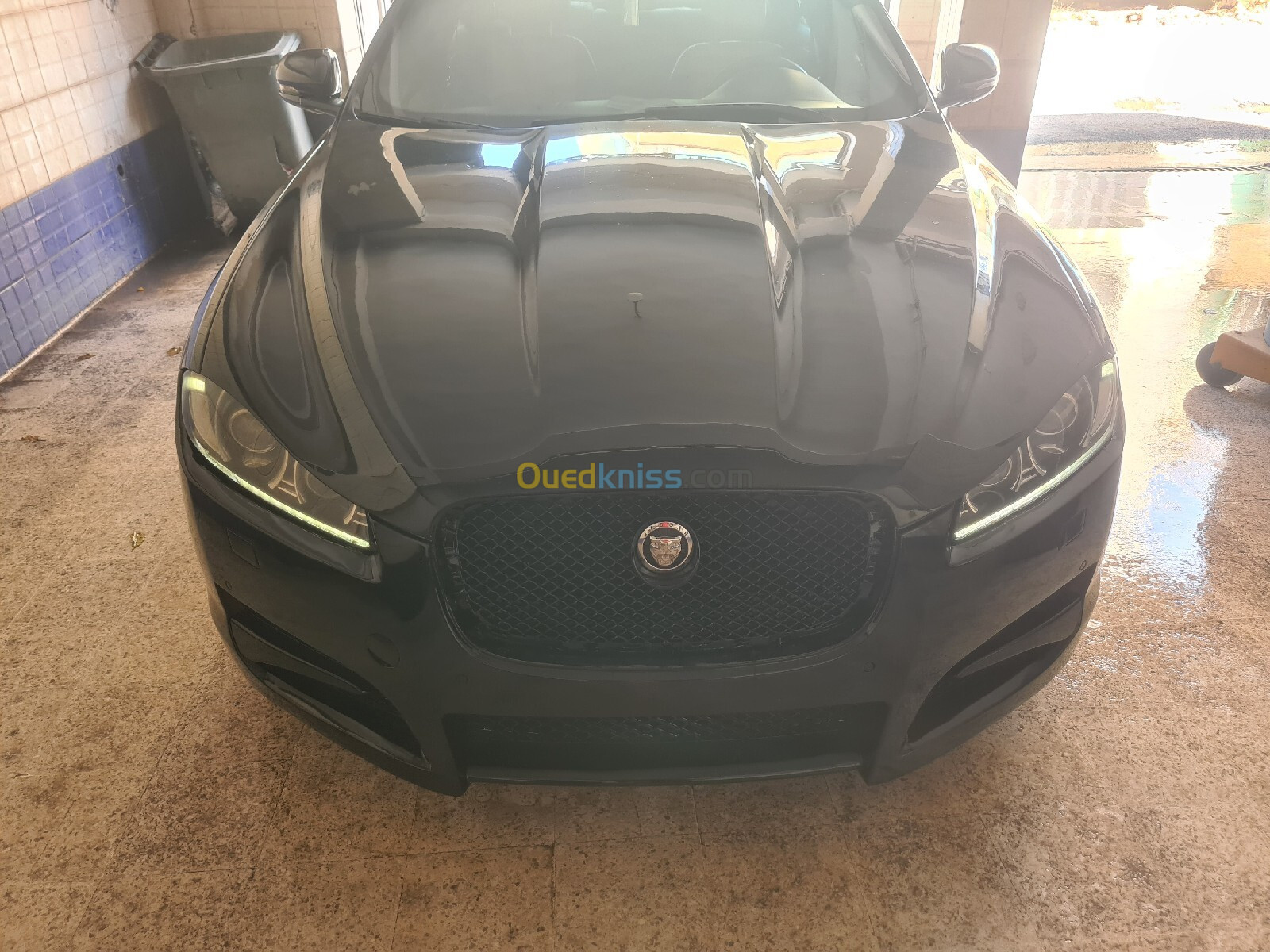 Jaguar XF Sportbrake 2013 XF Sportbrake