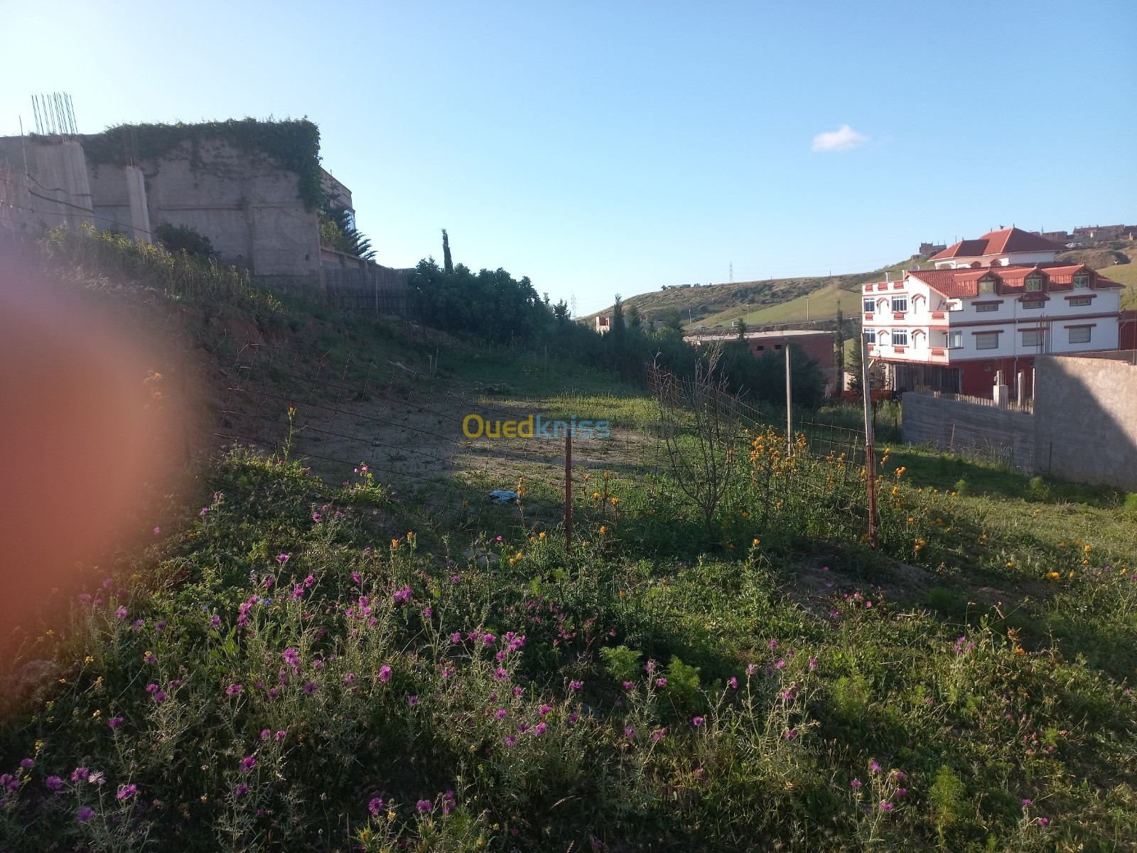 Vente Terrain Boumerdès Tidjelabine