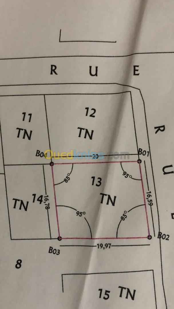 Vente Terrain Tébessa Bekkaria 