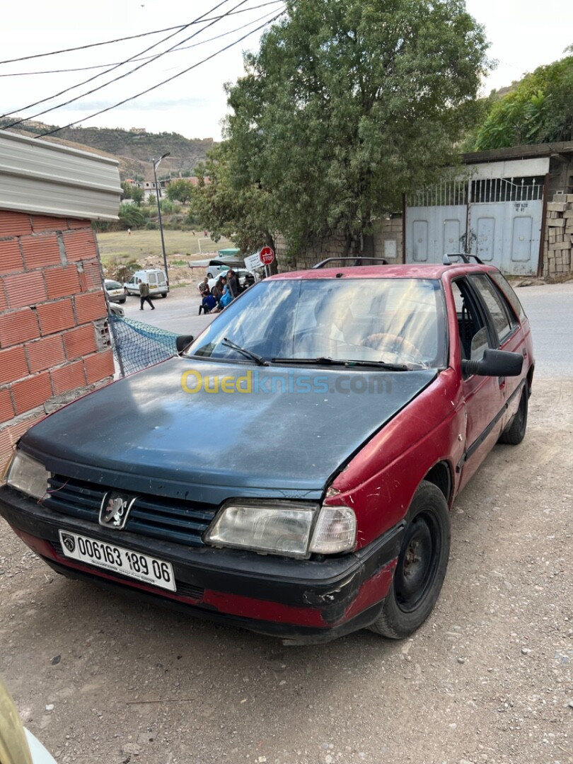 Peugeot 405 1989 Familiars