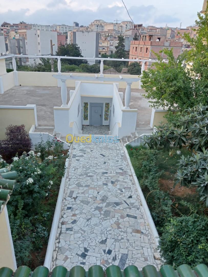 Vente Terrain Alger Said hamdine