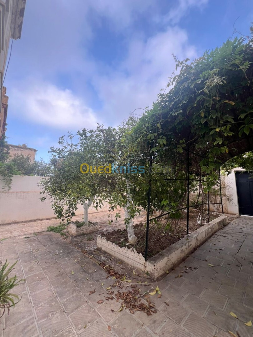 Vente Villa Alger Bab el oued