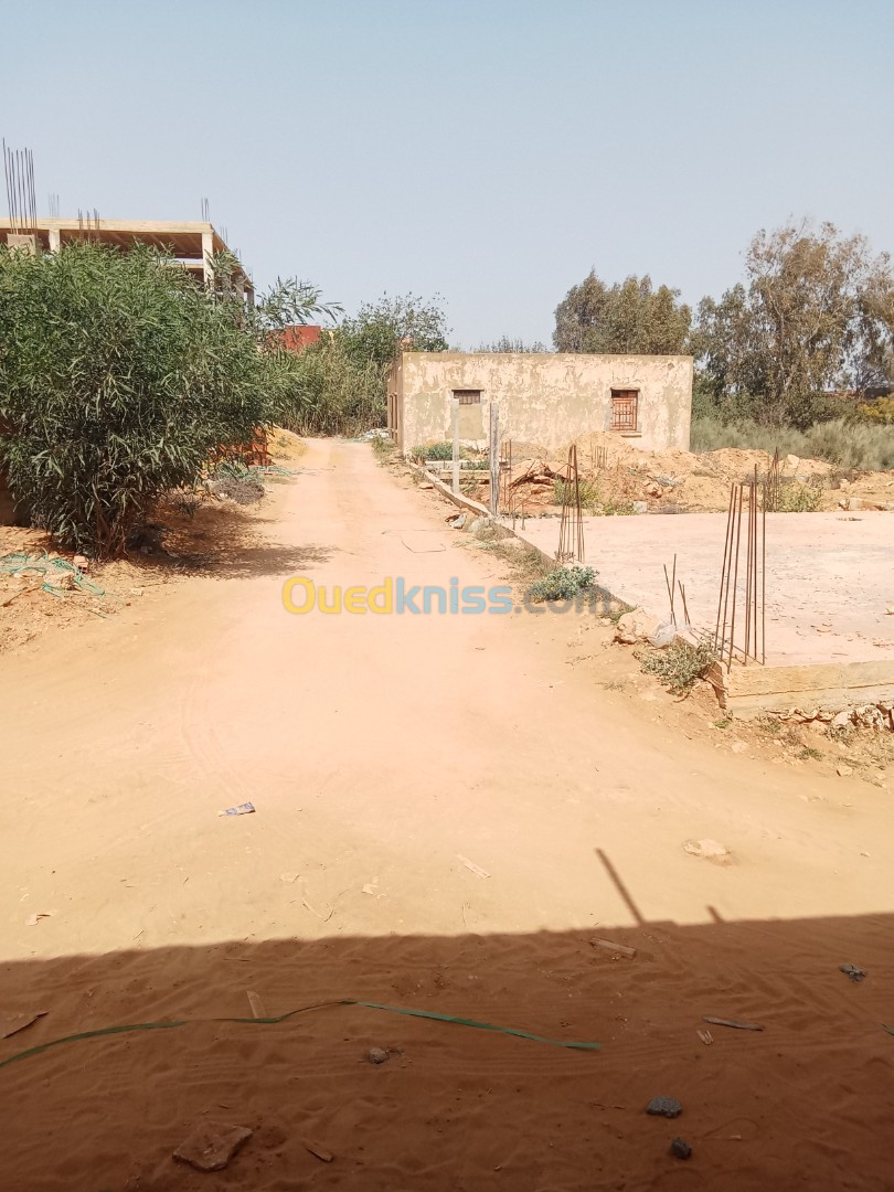 Vente Terrain Mostaganem Sayada