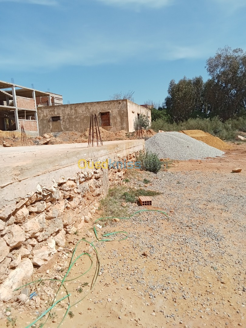 Vente Terrain Mostaganem Sayada