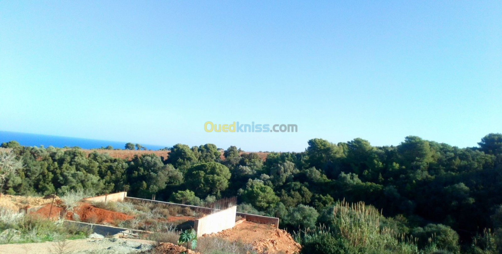 Vente Terrain Tipaza Ain tagourait