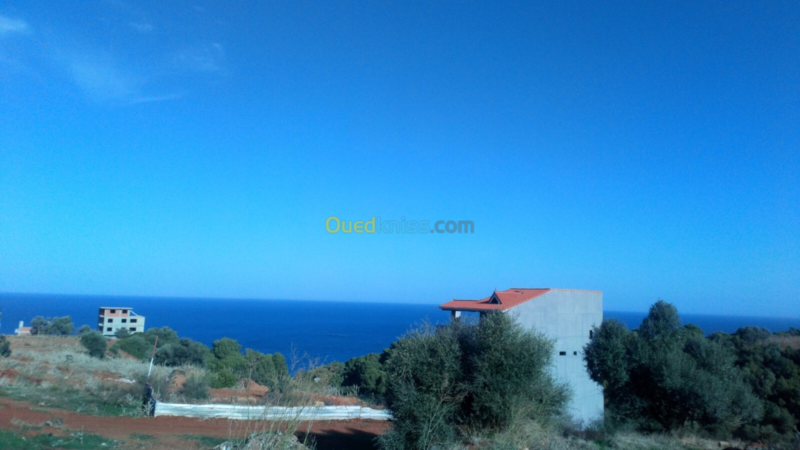 Vente Terrain Tipaza Ain tagourait