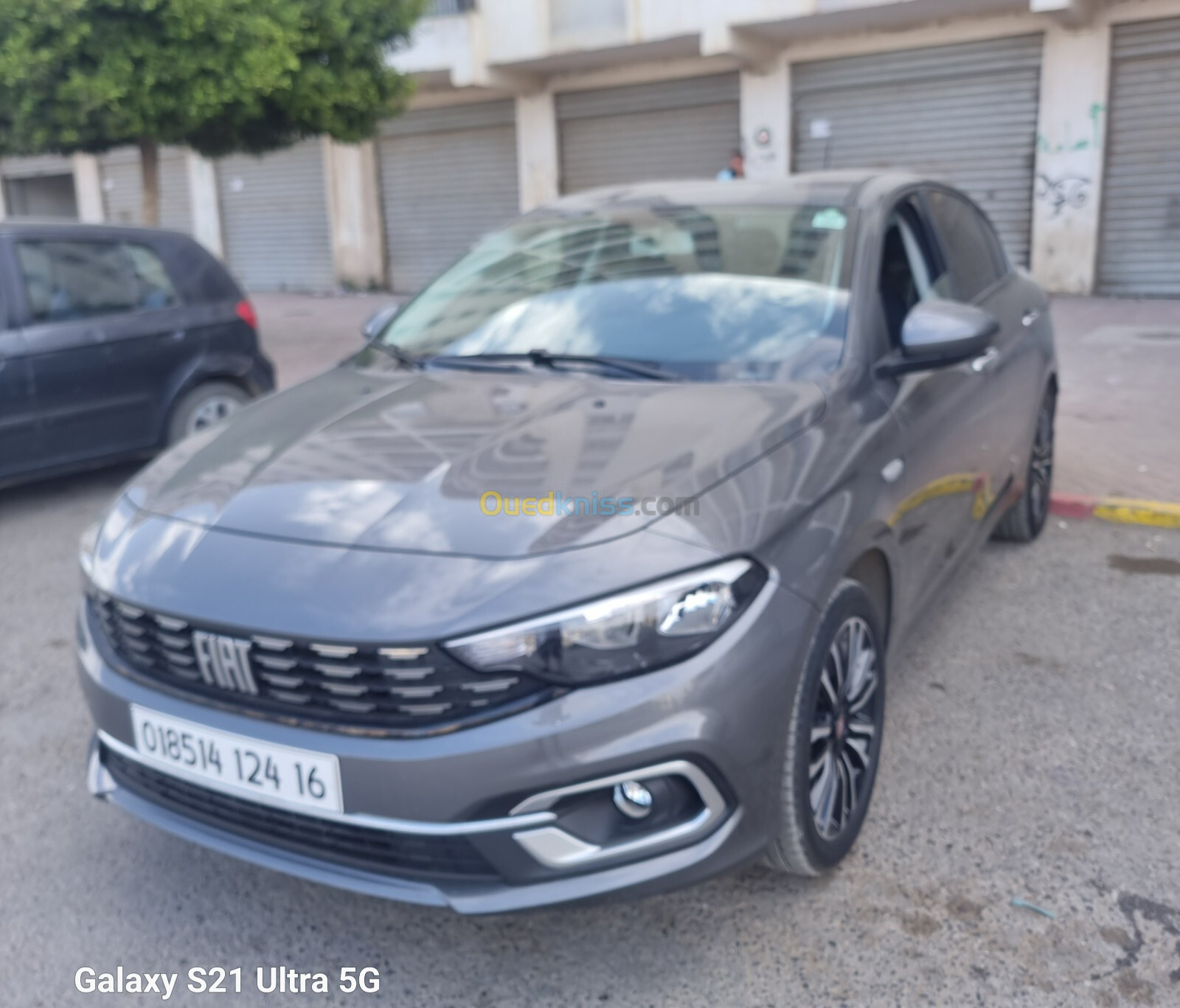 Fiat Tipo 2024 Liaf