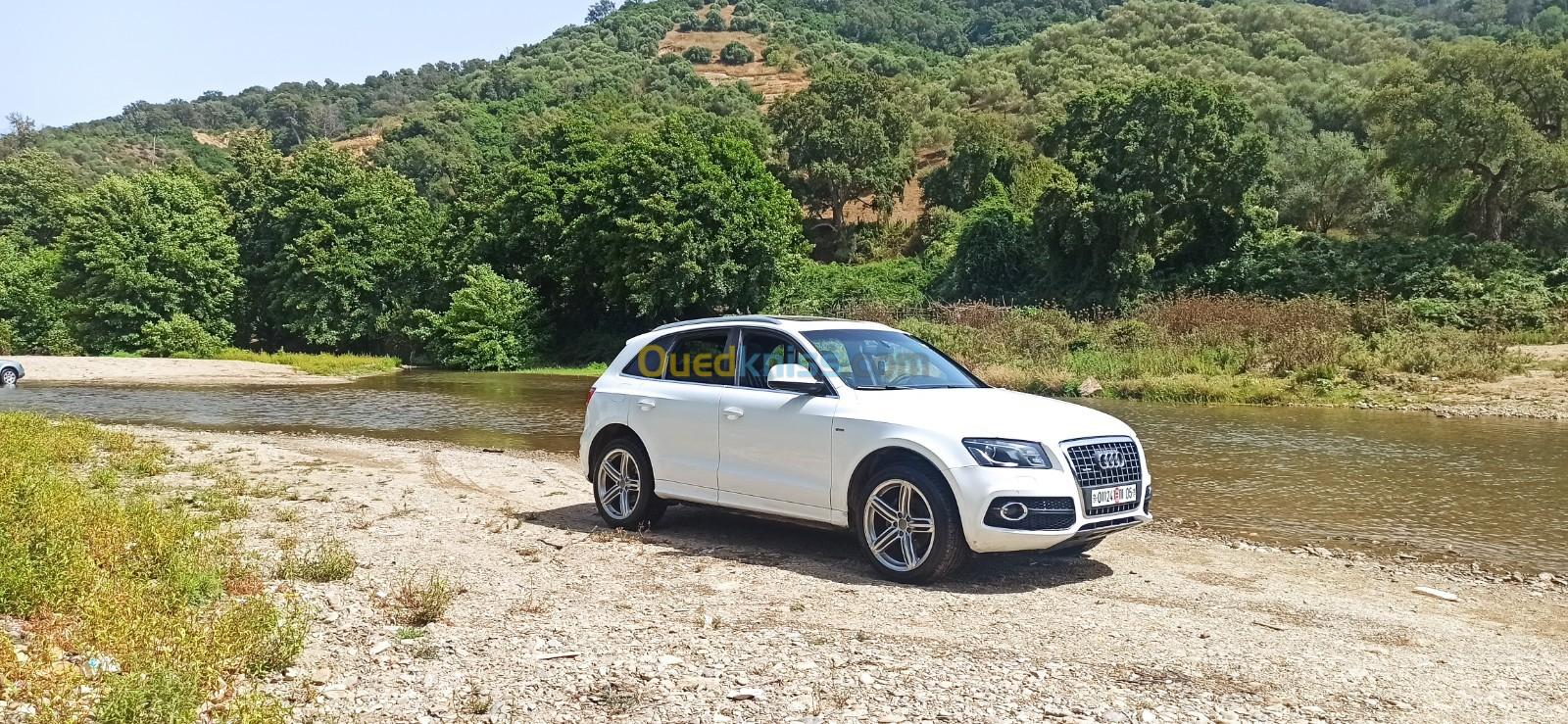 Audi Q5 2011 Slin