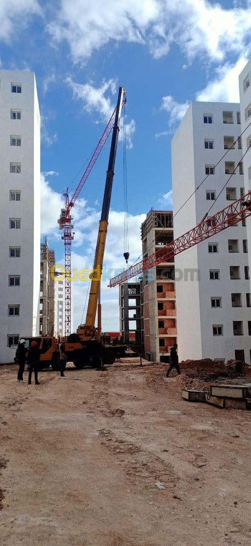 Location des grues différentes tonnages , mini pelle godet et brise roche ,mini compacteur 