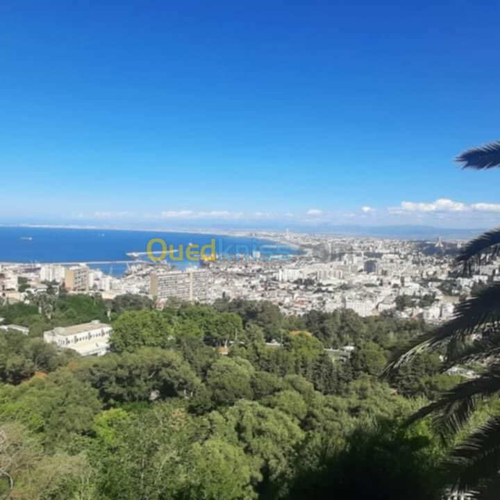 Vente Villa Alger Hussein dey