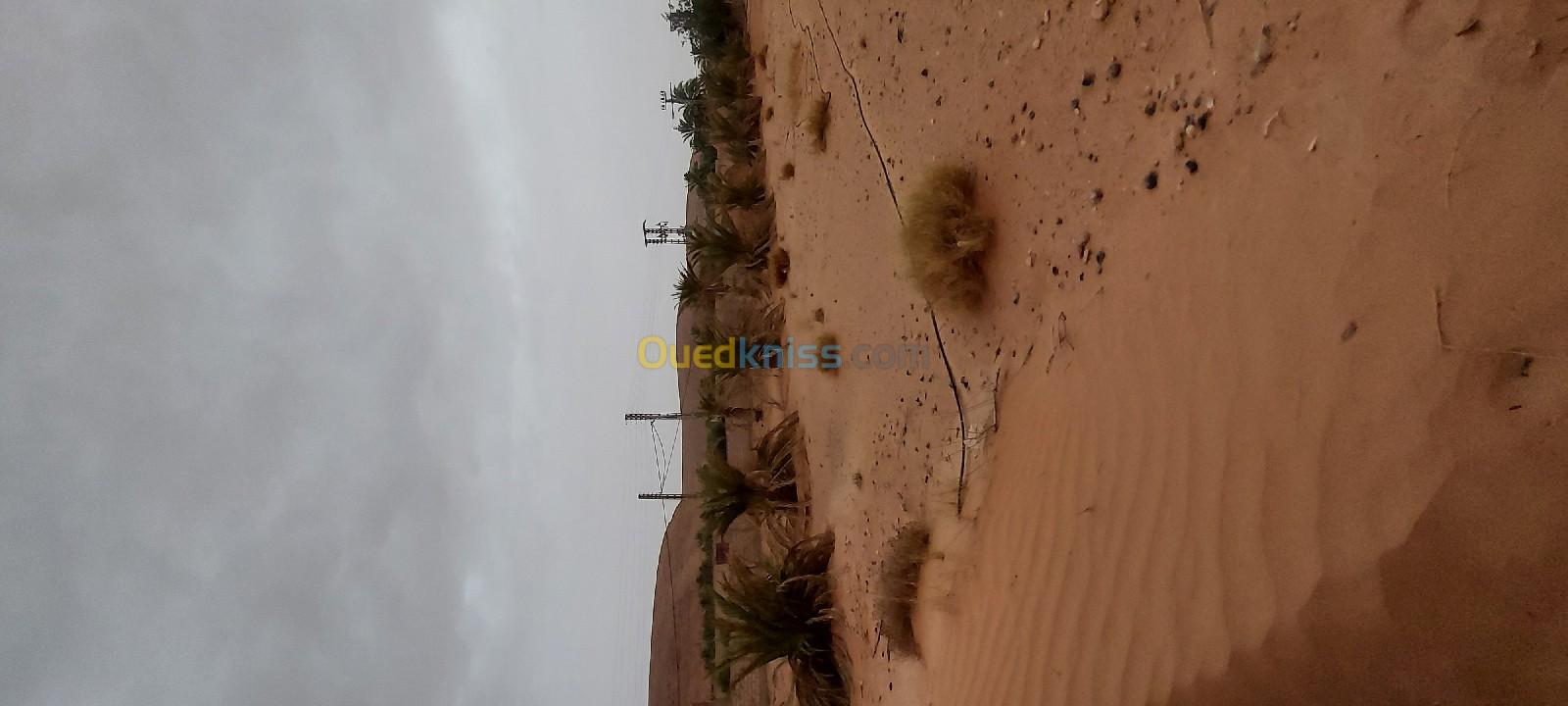 Vente Terrain Ghardaïa Ghardaia