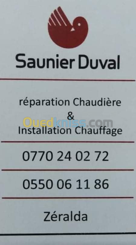 Reparation de Chaudière saunier Duval 