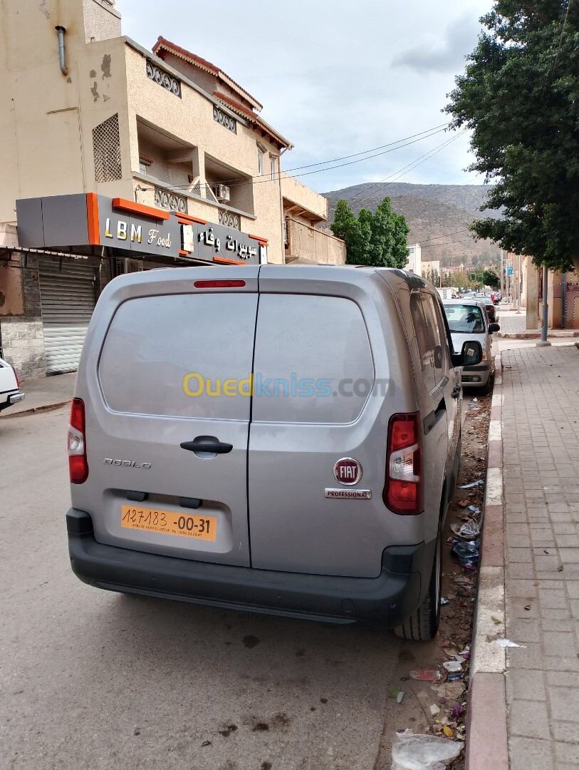 Fiat Doblo 2024 