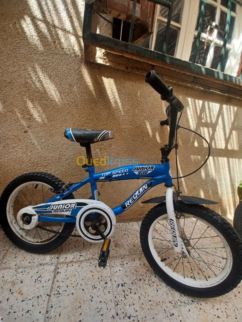 Vélo 