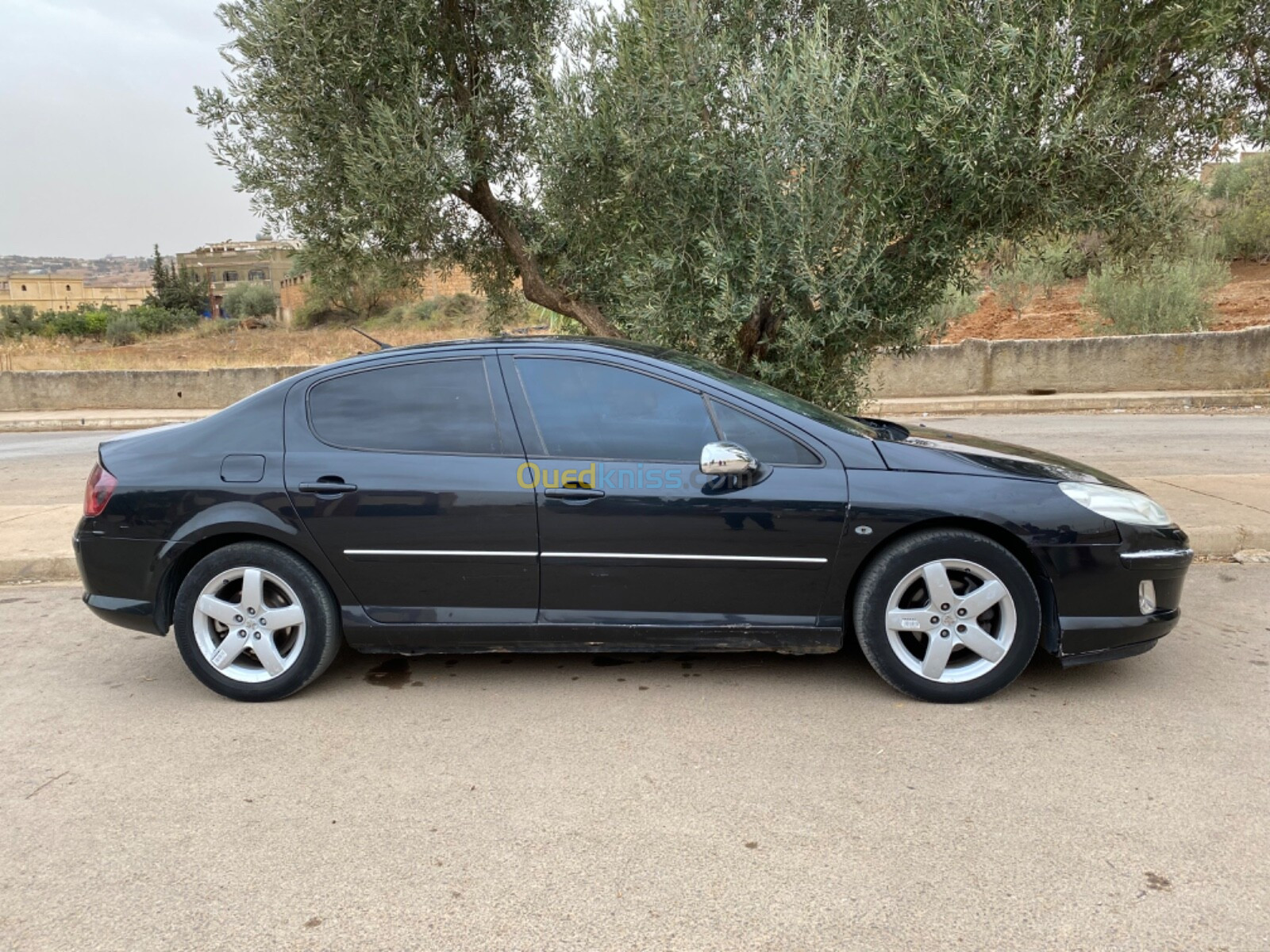 Peugeot 407 2006 407