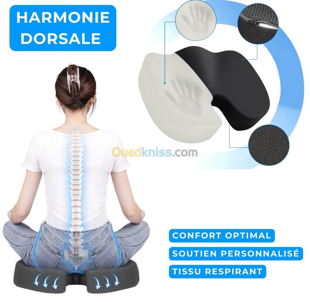 Coussin Harmonie Dorsale : Dos - coccyx  orthopédique siège pour voiture 