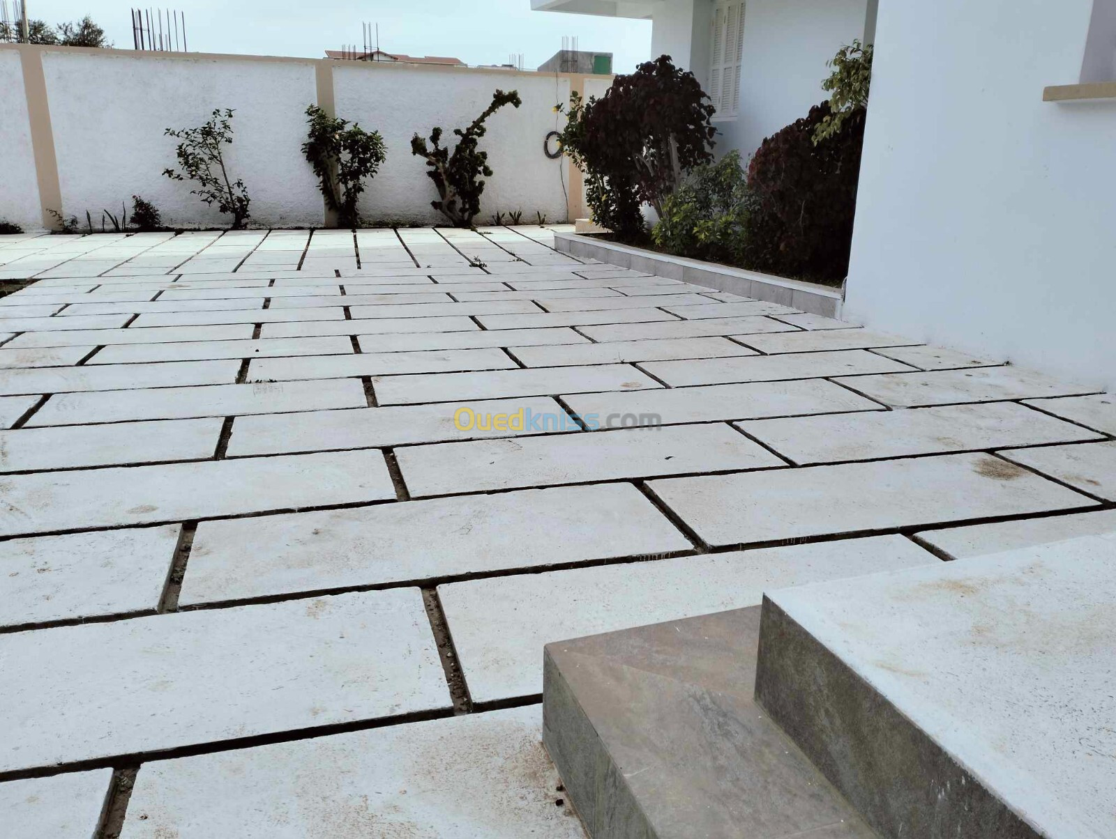 Vente Villa Alger Reghaia