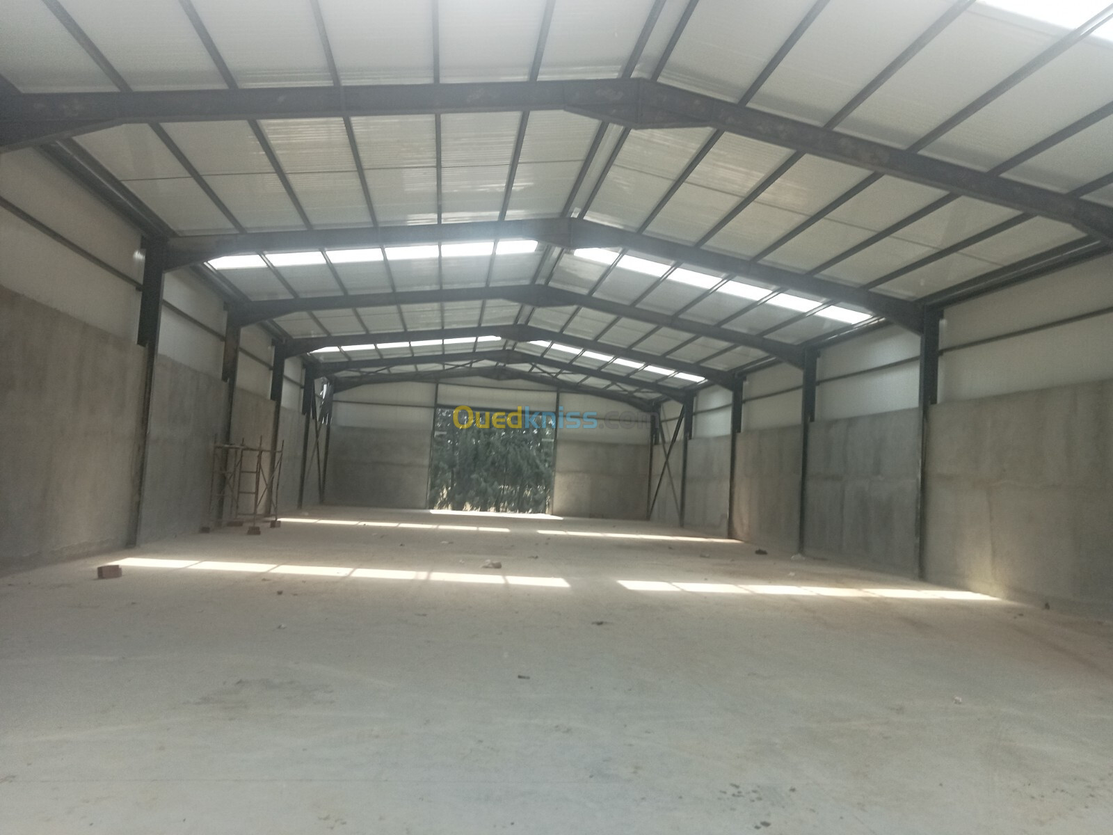 Location Hangar Alger Baraki