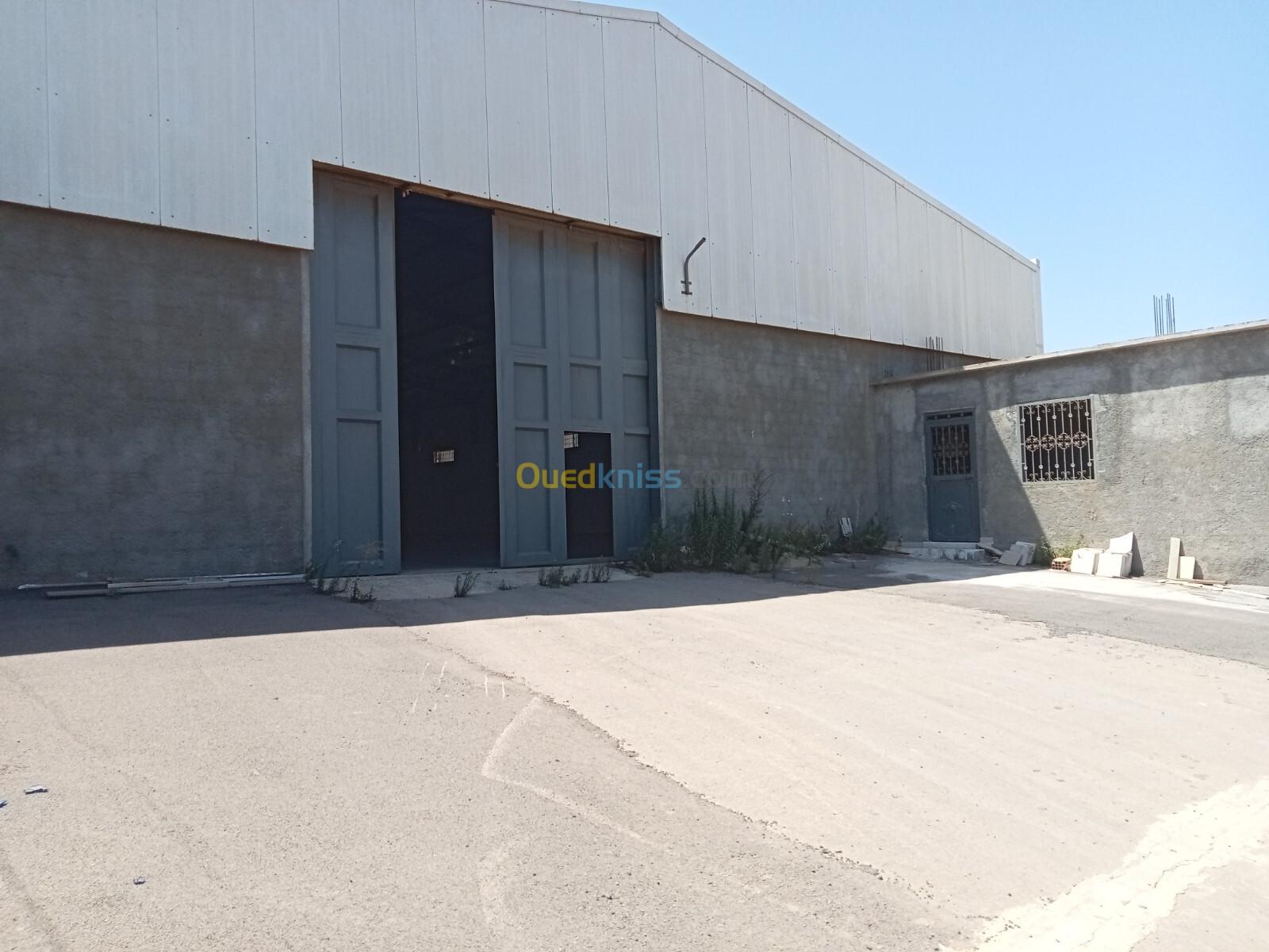 Location Hangar Alger Baraki