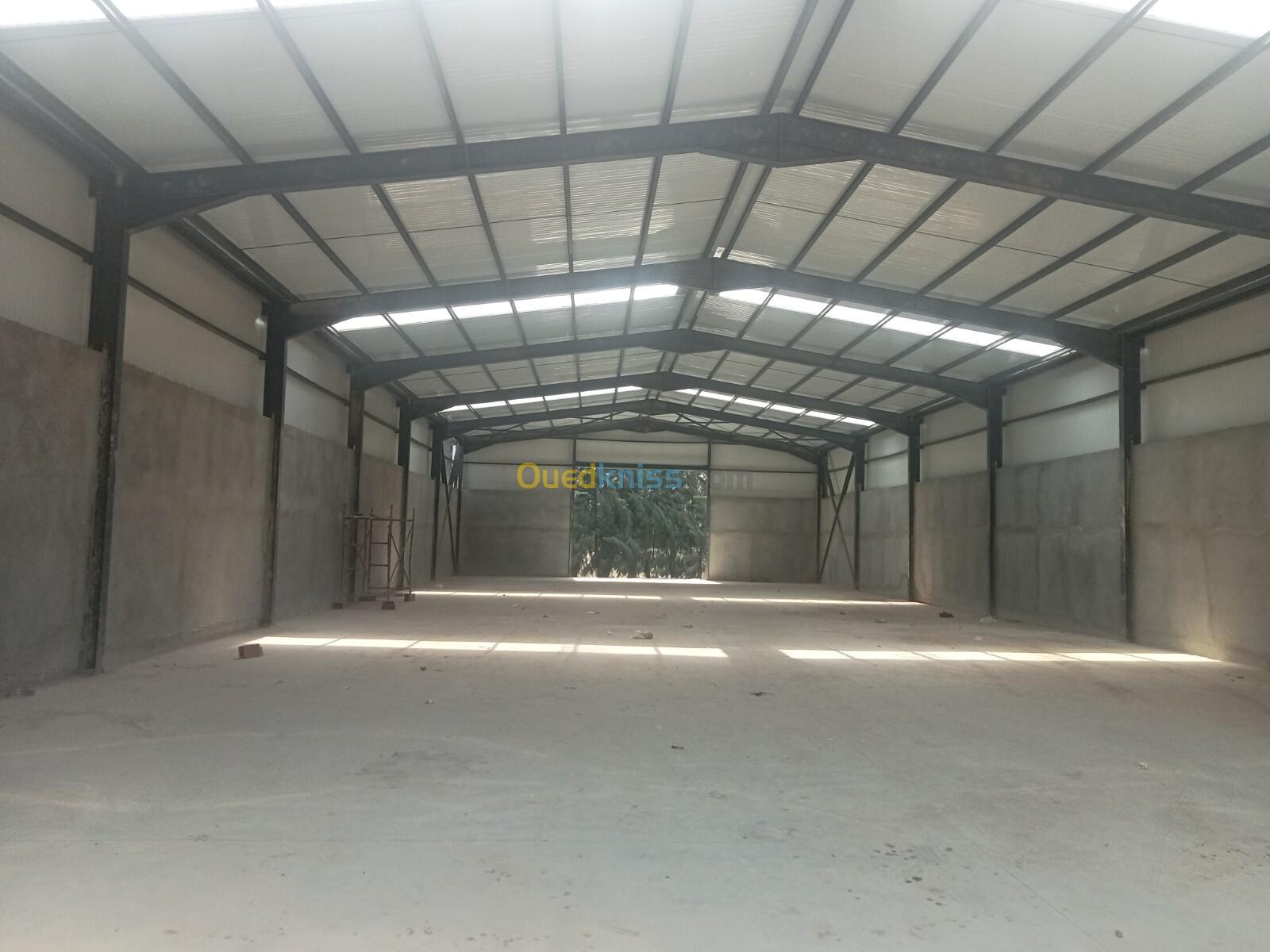 Location Hangar Alger Baraki