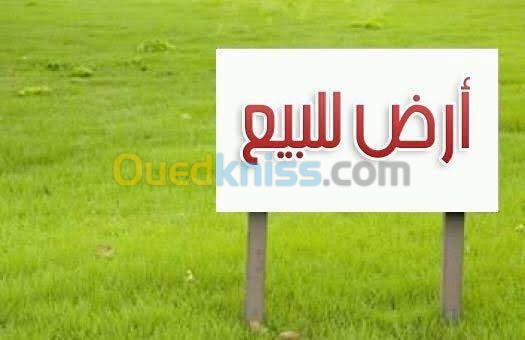 Vente Terrain Setif El eulma