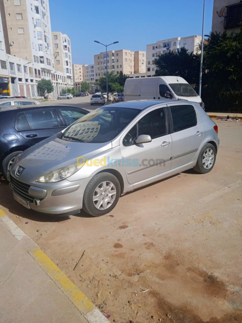 Peugeot 307 2006 307