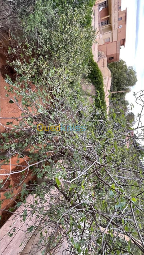 Vente Villa Tlemcen Tlemcen