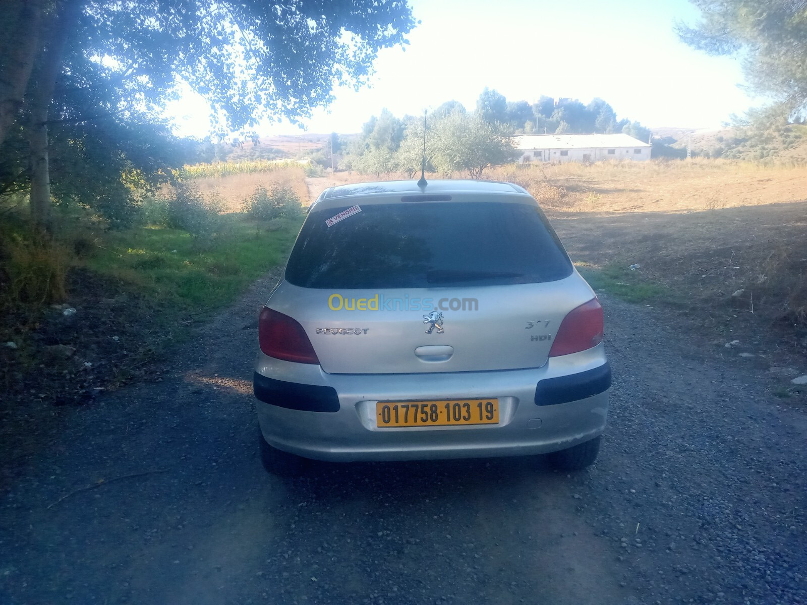 Peugeot 307 2003 307