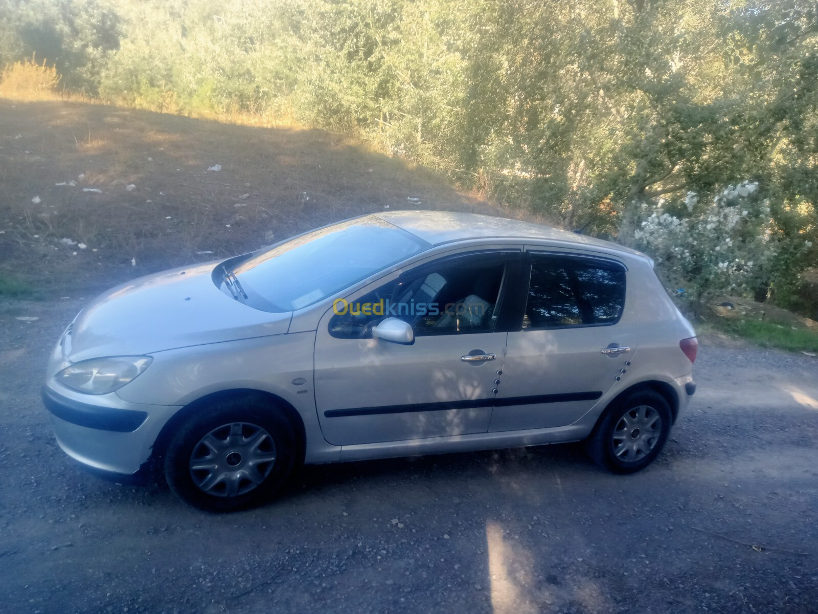 Peugeot 307 2003 307