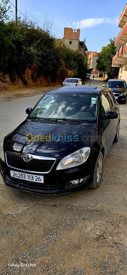 Skoda Fabia 2013 Fresh