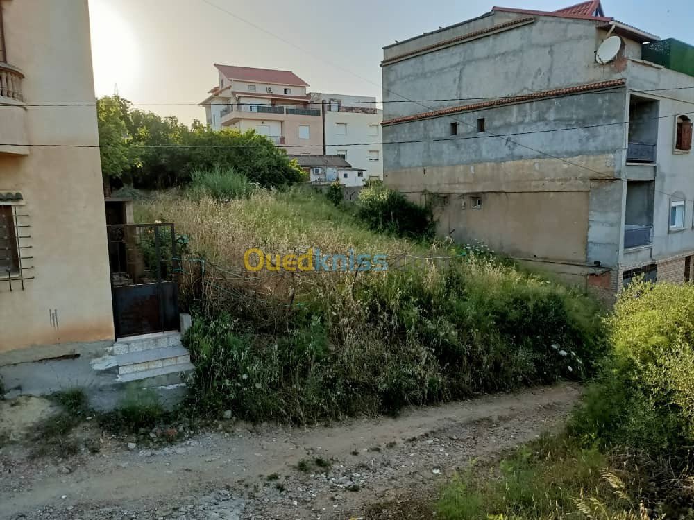 Vente Terrain Alger Draria