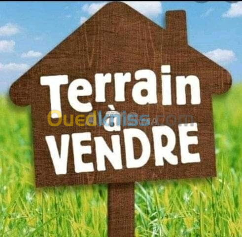 Vente Terrain Tiaret Rechaiga sebaine