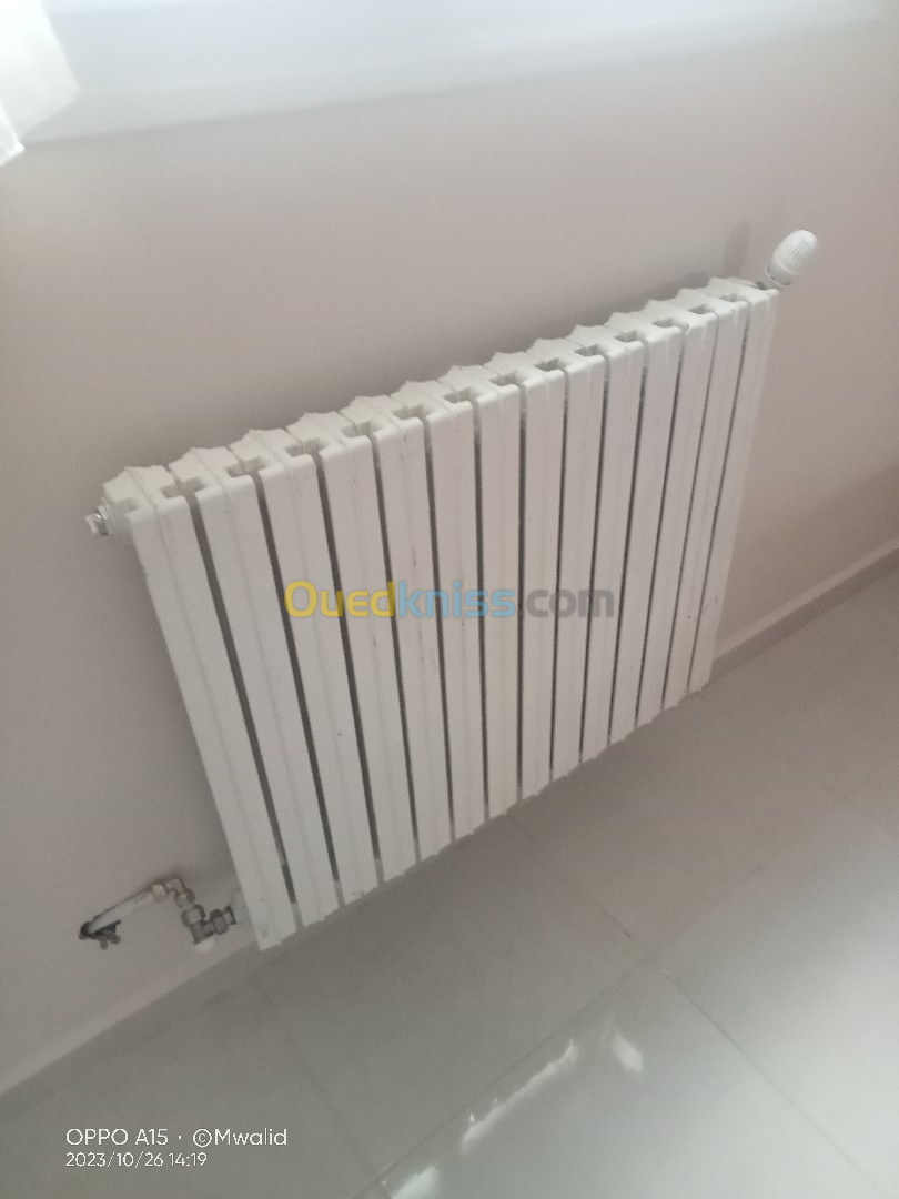 Radiateur fonte Turk 