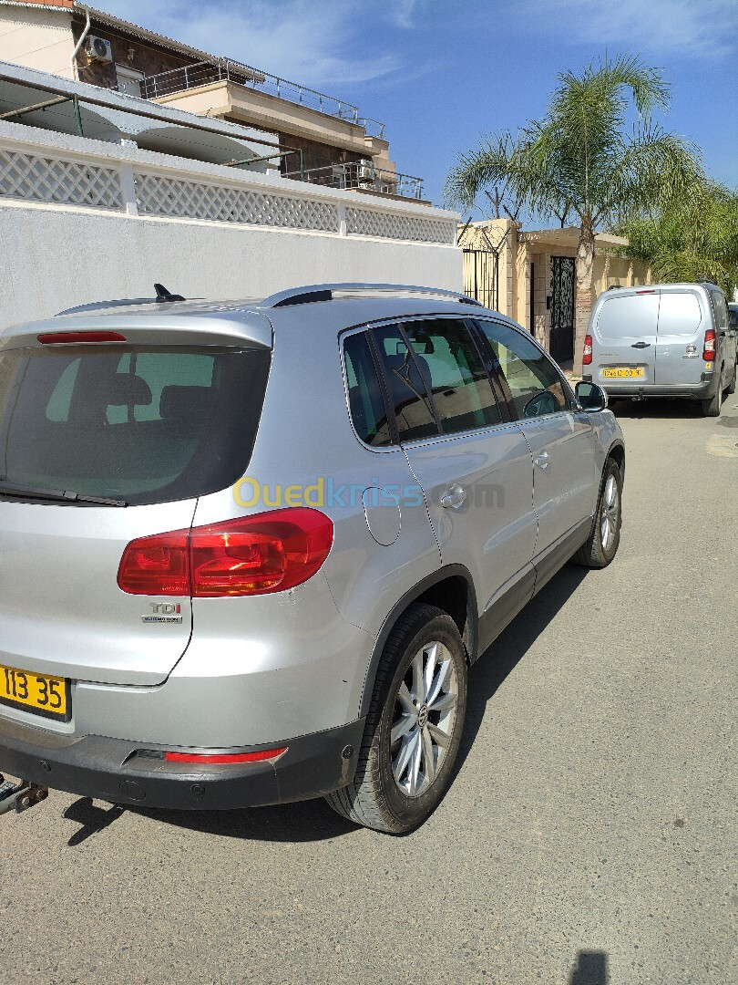 Volkswagen Tiguan 2013 bluemotion