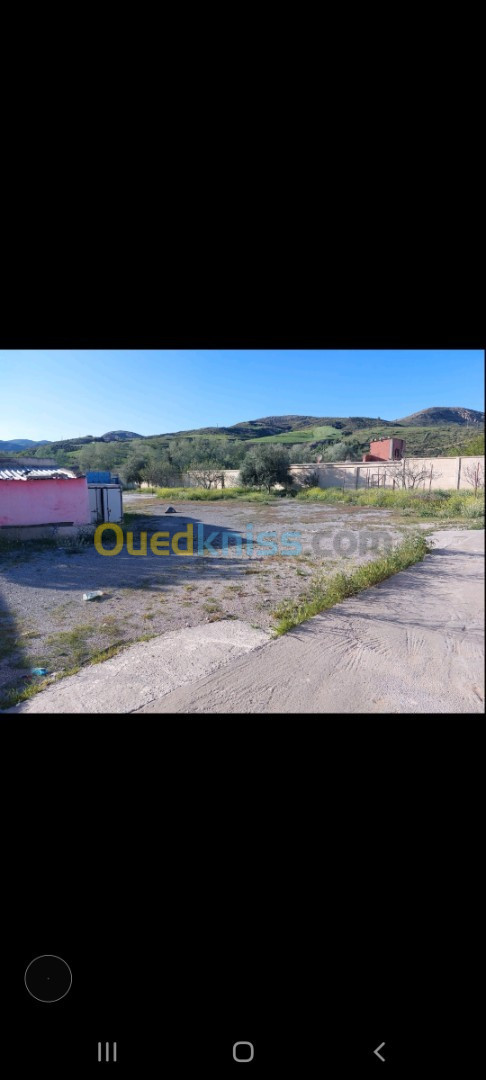 Vente Terrain Setif Beni fouda