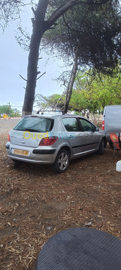 Peugeot 307 2005 307