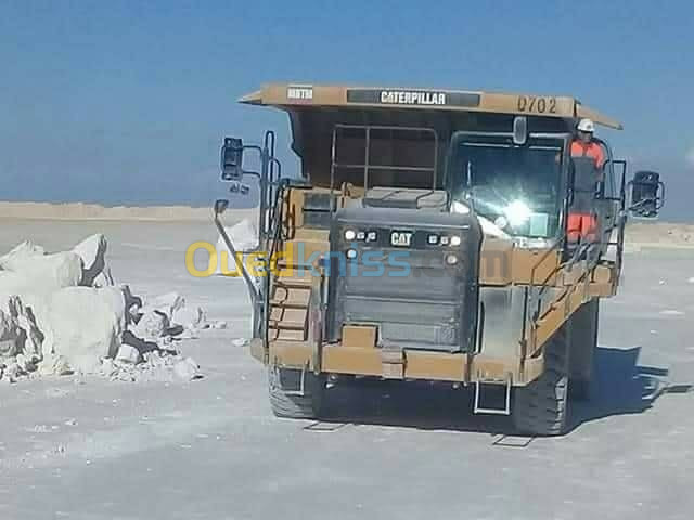 conducteur grue et  manitou