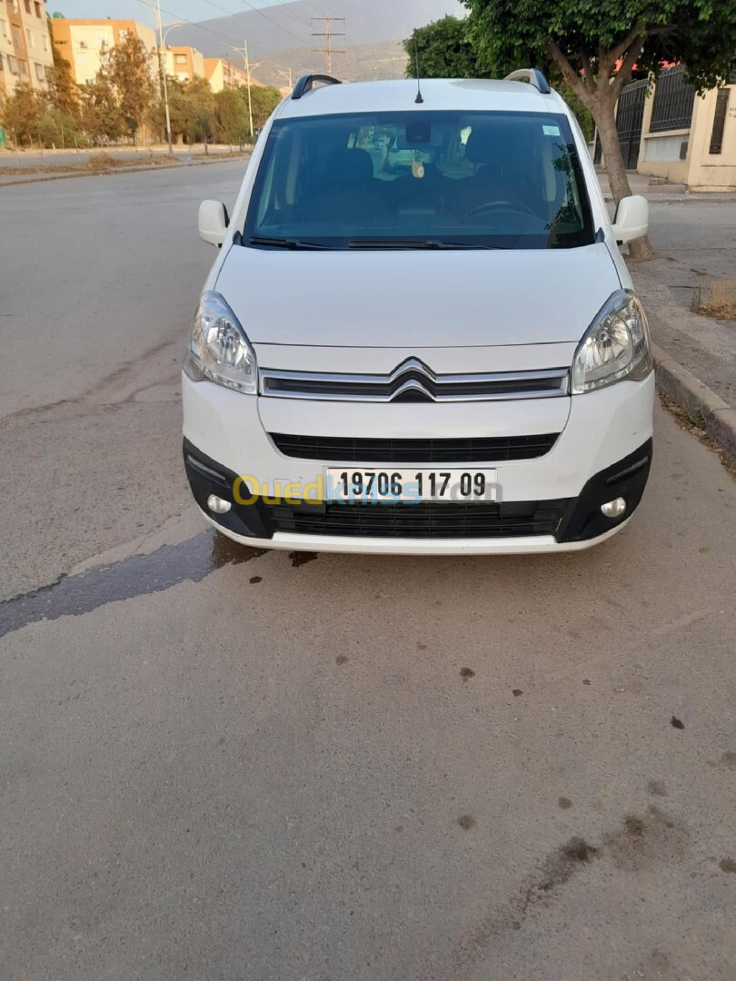 Citroen Berlingo 2017 Berlingo